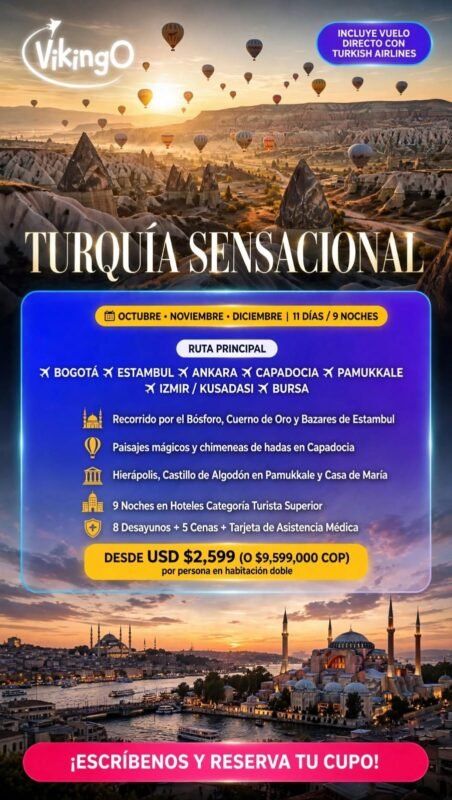Imagen 17 de VikingO
